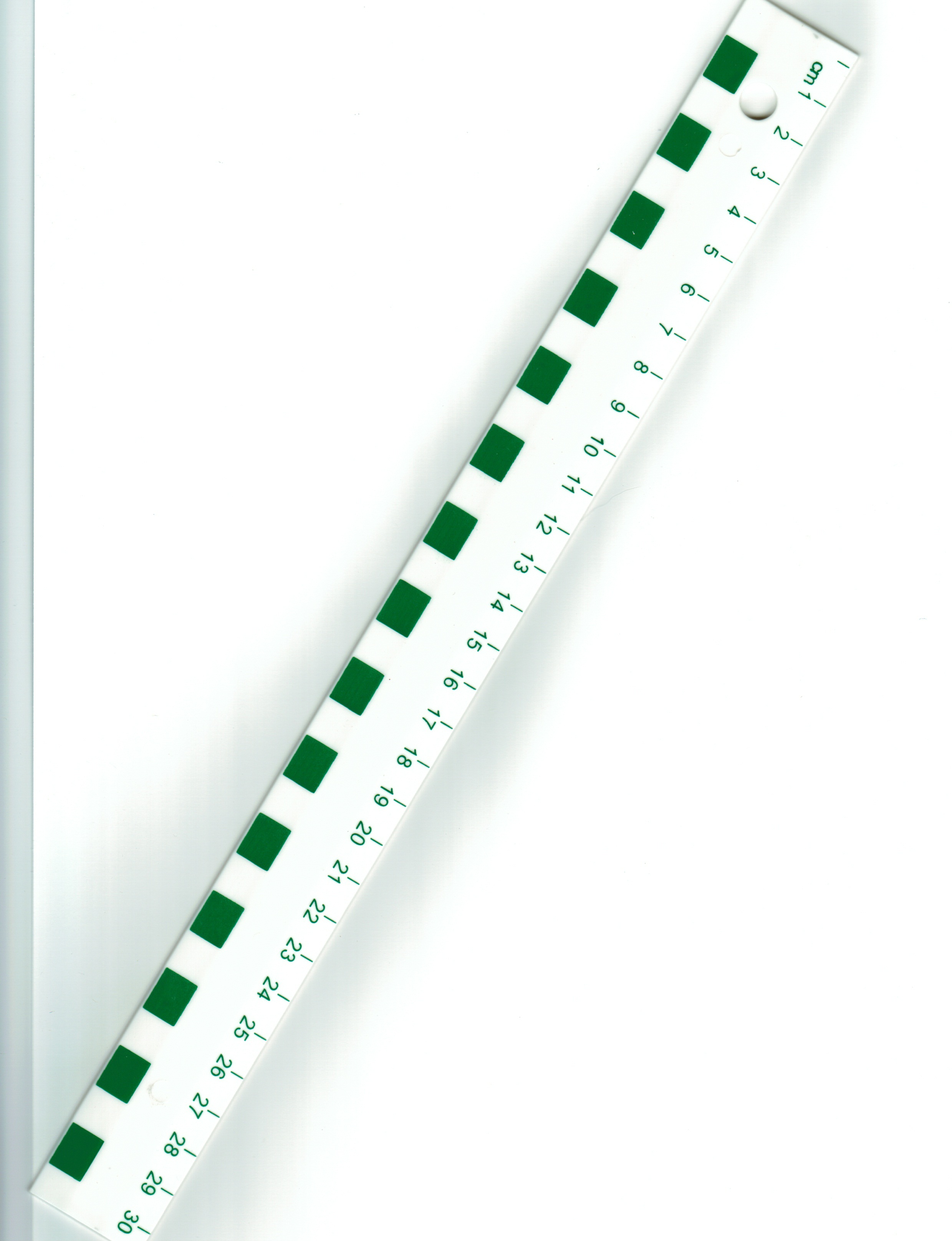 School Source 11440 Junior Metric Ruler - 30 cm