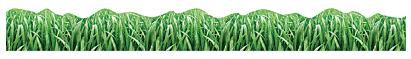 Trend T92386 Terrific Trimmers Green Grass - 2 1/4" x 39"